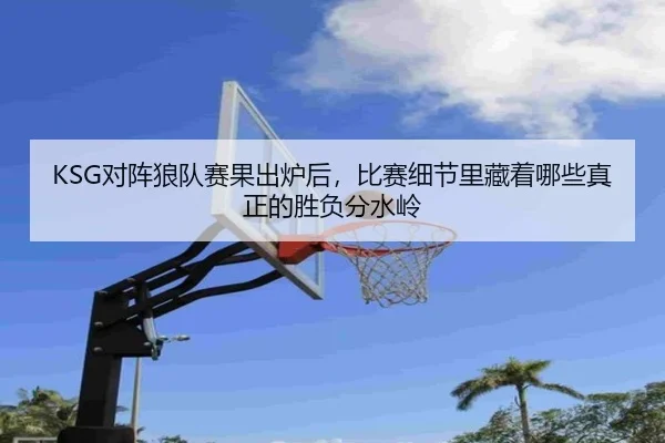 img_1780977899863_358_2_692.jpg
